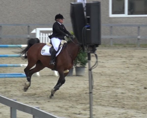Reitturnier Kalenborn Hegehof 2019