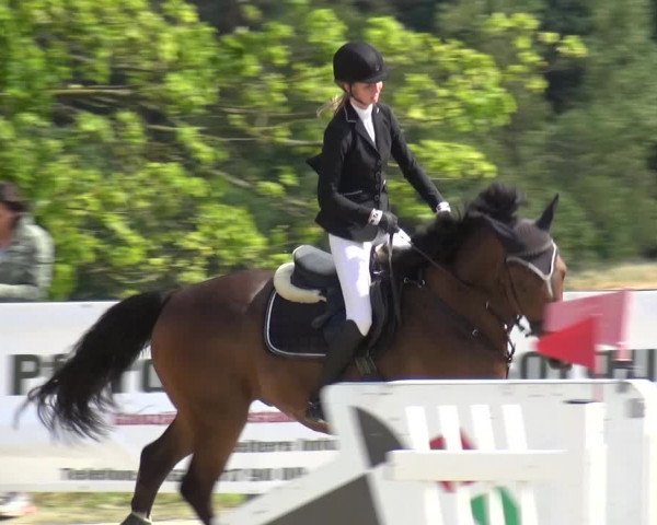 Reitturnier Kalenborn Hegehof 2019