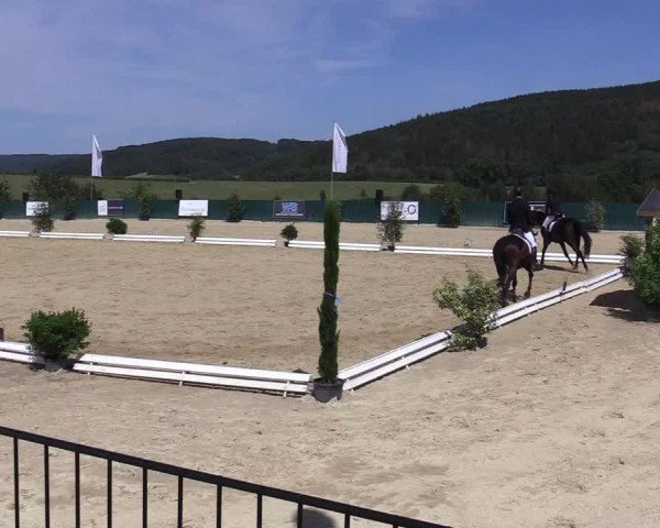 Reitturnier Lindlar-Süttenbach 2019