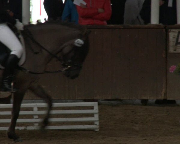 Reitturnier Delbrück-Ostenland 2019