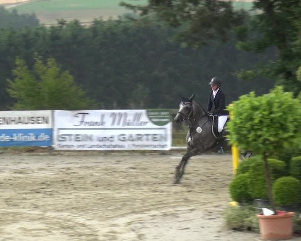 Reitturnier Kalenborn Hegehof 2019