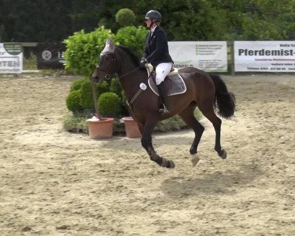 Reitturnier Kalenborn Hegehof 2019