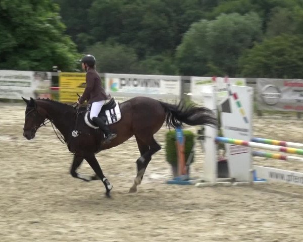 Reitturnier Kalenborn Hegehof 2019
