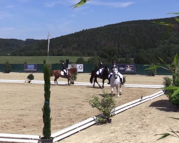 Reitturnier Lindlar-Süttenbach 2019
