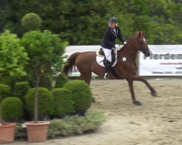 Reitturnier Kalenborn Hegehof 2019
