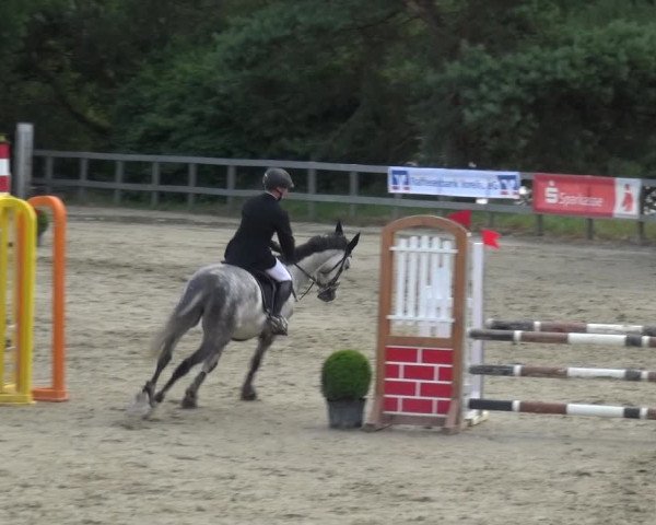Reitturnier Kalenborn Hegehof 2019