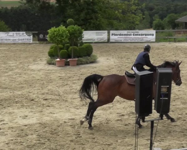 Reitturnier Kalenborn Hegehof 2019