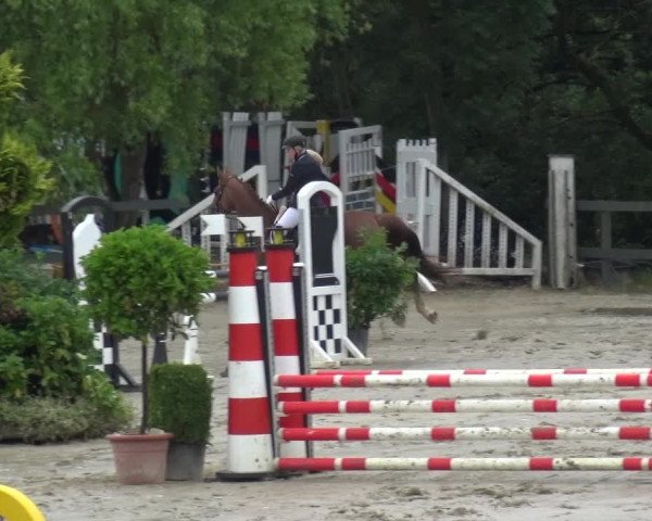 Reitturnier Kalenborn Hegehof 2019