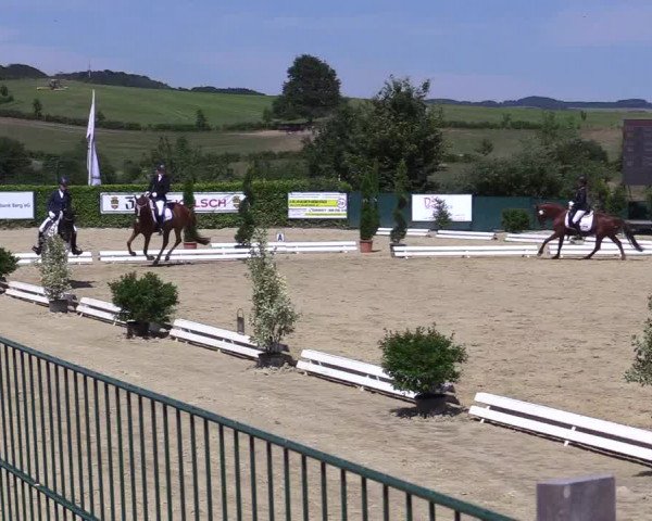 Reitturnier Lindlar-Süttenbach 2019