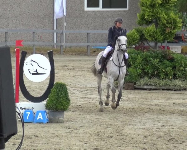 Reitturnier Kalenborn Hegehof 2019