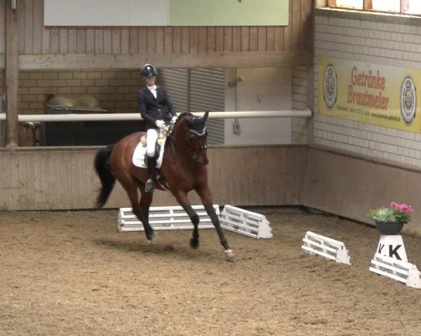 Reitturnier Delbrück-Ostenland 2019