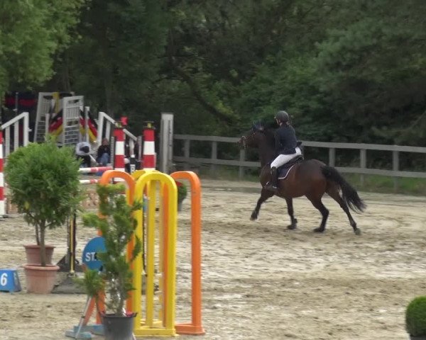 Reitturnier Kalenborn Hegehof 2019
