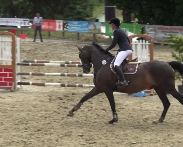 Reitturnier Kalenborn Hegehof 2019