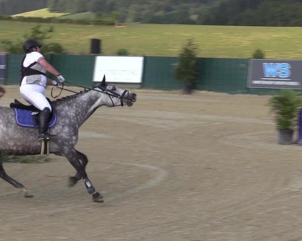 Reitturnier Lindlar-Süttenbach 2019