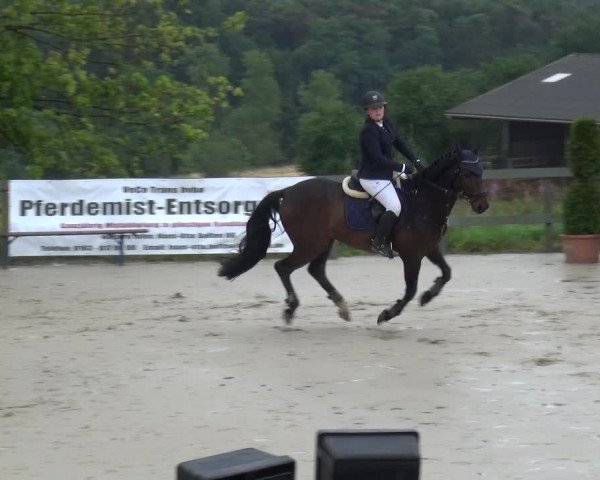 Reitturnier Kalenborn Hegehof 2019