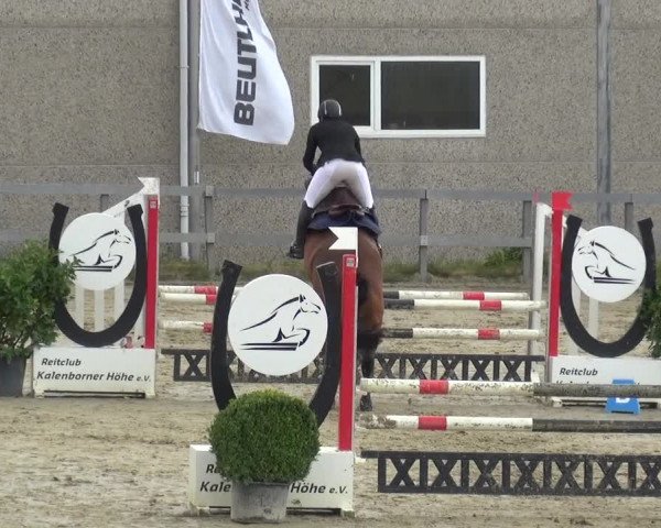Reitturnier Kalenborn Hegehof 2019
