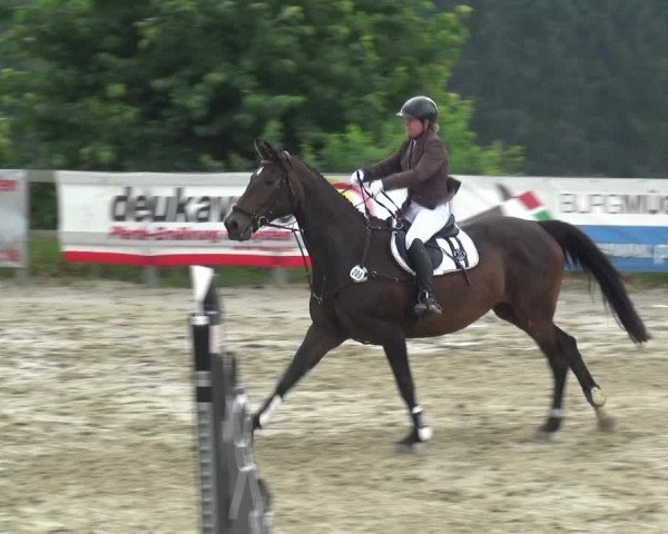 Reitturnier Kalenborn Hegehof 2019