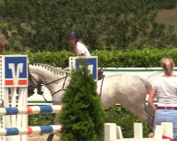 Reitturnier Lindlar-Süttenbach 2019