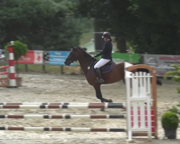 Reitturnier Kalenborn Hegehof 2019