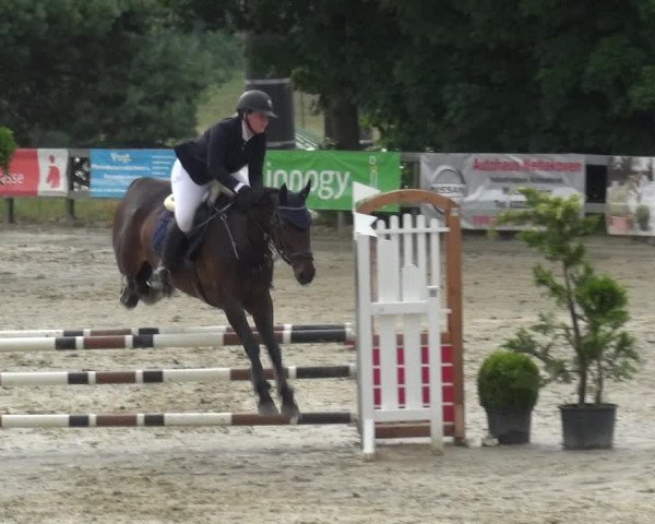 Reitturnier Kalenborn Hegehof 2019