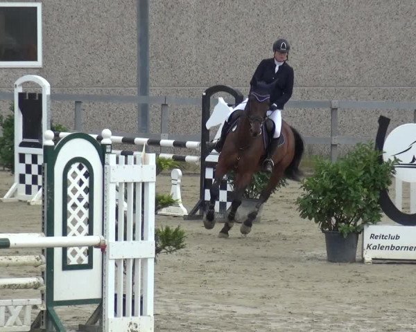 Reitturnier Kalenborn Hegehof 2019