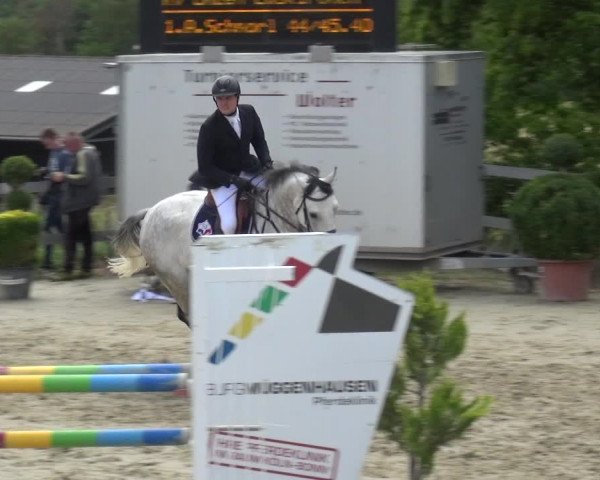 Reitturnier Kalenborn Hegehof 2019