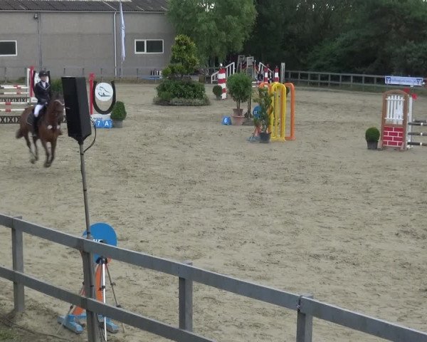Reitturnier Kalenborn Hegehof 2019