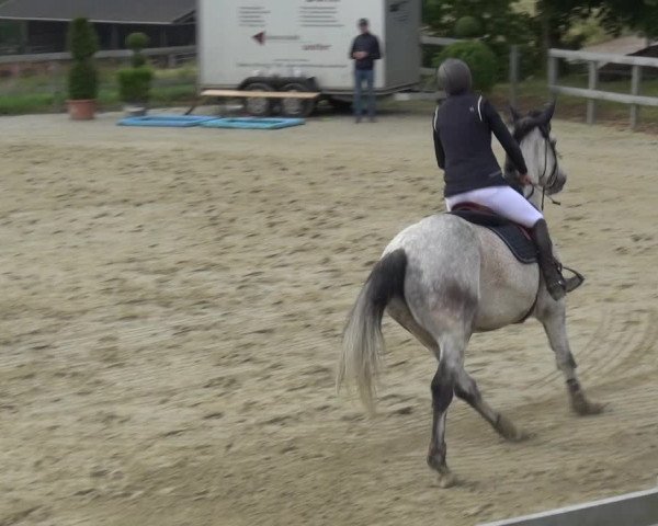 Reitturnier Kalenborn Hegehof 2019