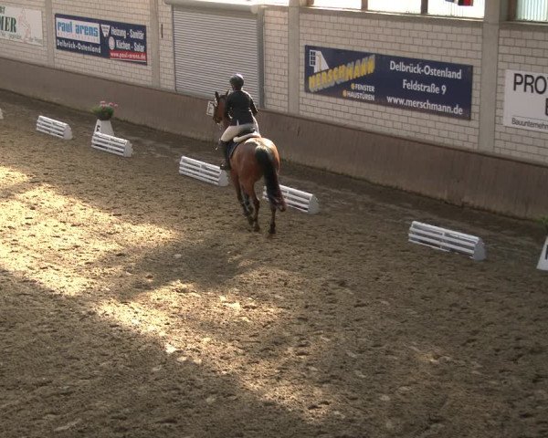 Reitturnier Delbrück-Ostenland 2019