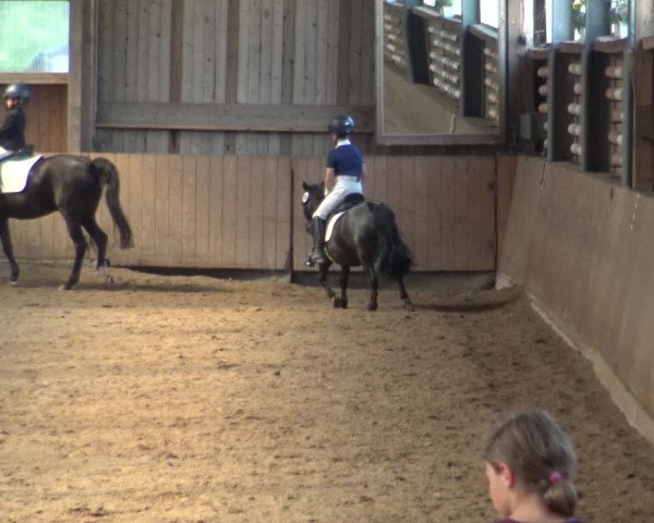 Reitturnier Schwerte-Gut Kückshausen 2019