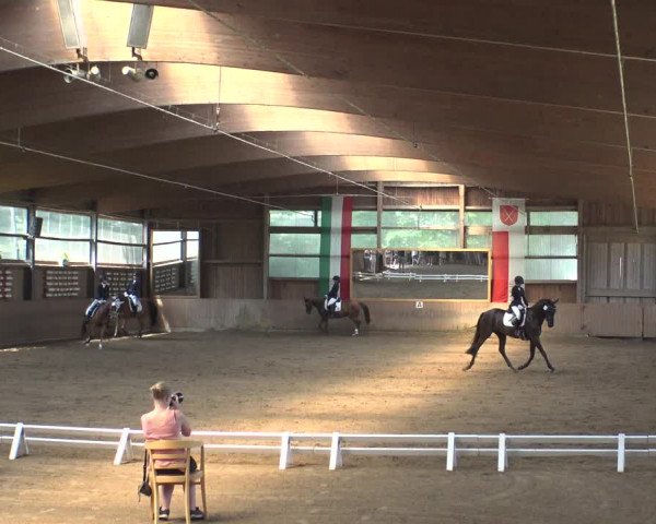 Reitturnier Schwerte-Gut Kückshausen 2019