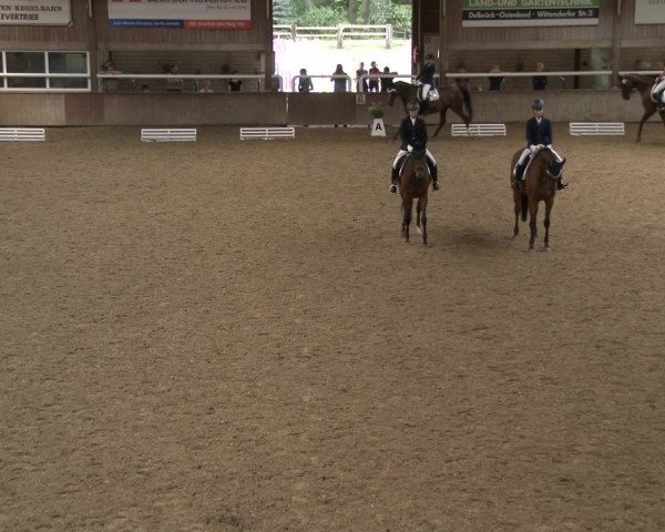 Reitturnier Delbrück-Ostenland 2019