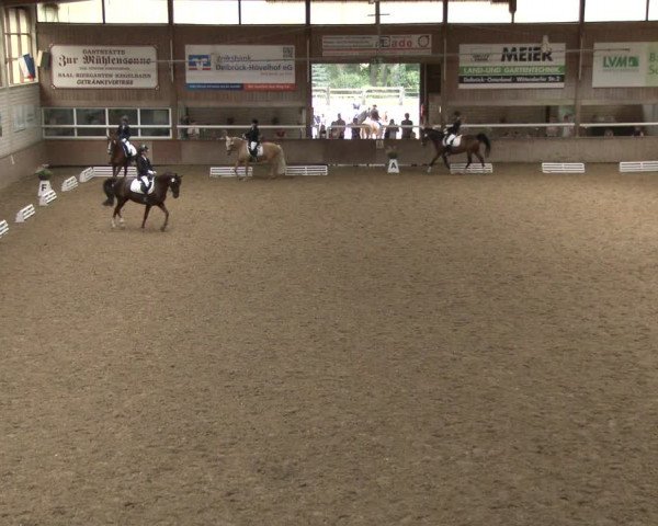 Reitturnier Delbrück-Ostenland 2019