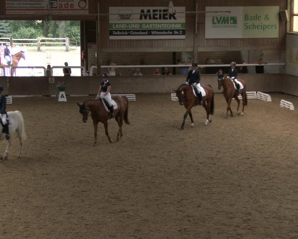 Reitturnier Delbrück-Ostenland 2019