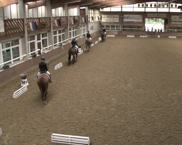 Reitturnier Delbrück-Ostenland 2019