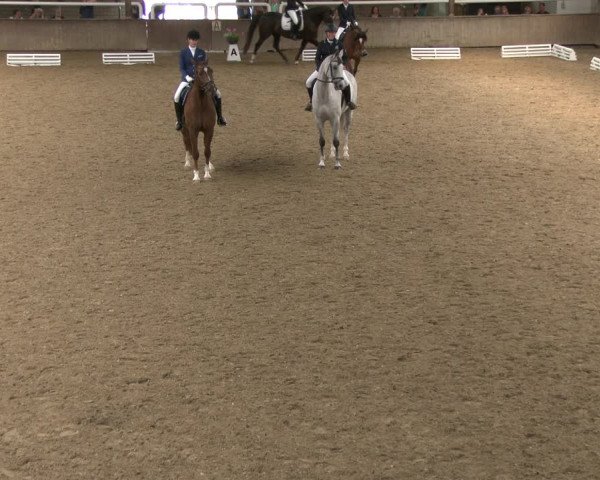 Reitturnier Delbrück-Ostenland 2019