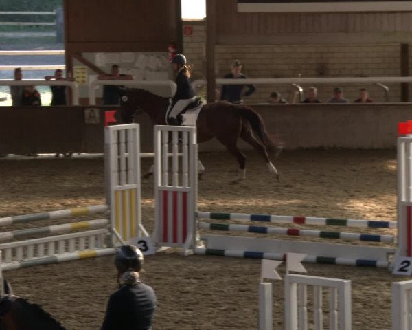 Reitturnier Delbrück-Ostenland 2019
