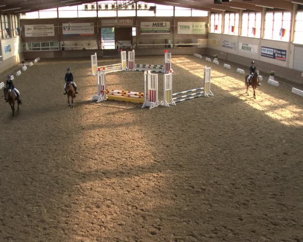 Reitturnier Delbrück-Ostenland 2019