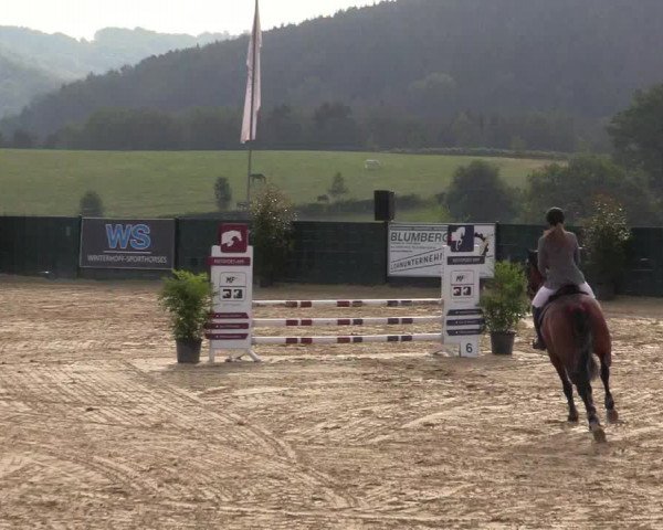 Reitturnier Lindlar-Süttenbach 2019