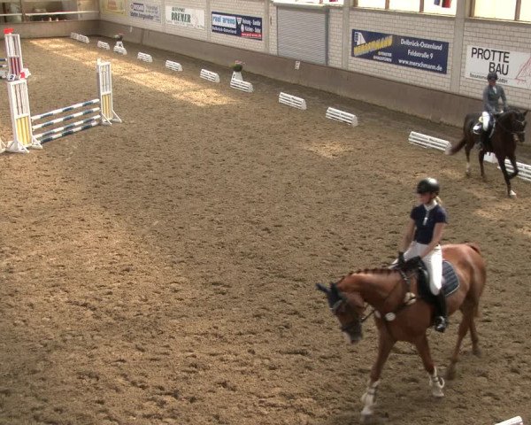 Reitturnier Delbrück-Ostenland 2019