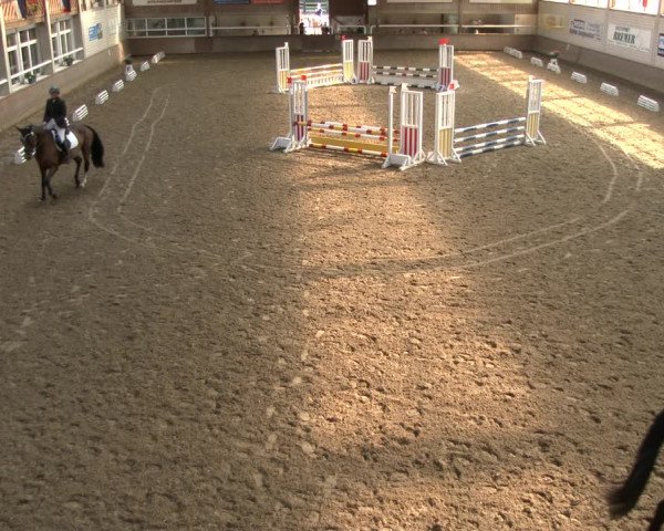 Reitturnier Delbrück-Ostenland 2019