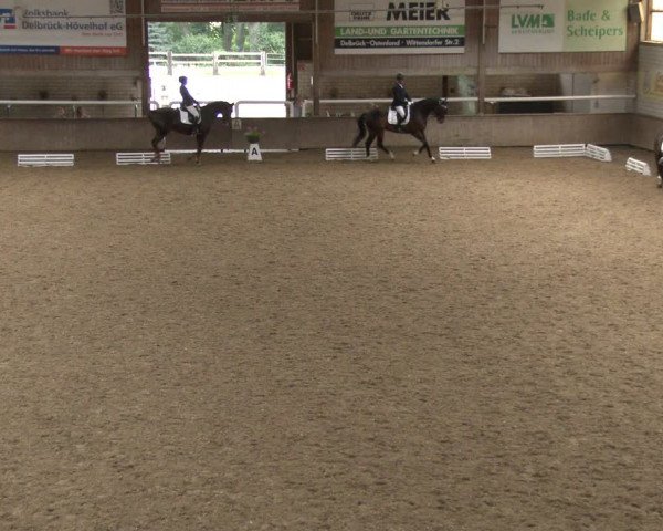 Reitturnier Delbrück-Ostenland 2019