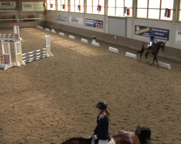 Reitturnier Delbrück-Ostenland 2019