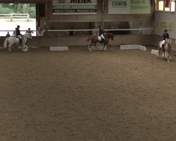 Reitturnier Delbrück-Ostenland 2019
