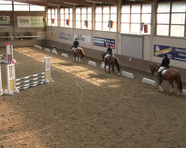 Reitturnier Delbrück-Ostenland 2019