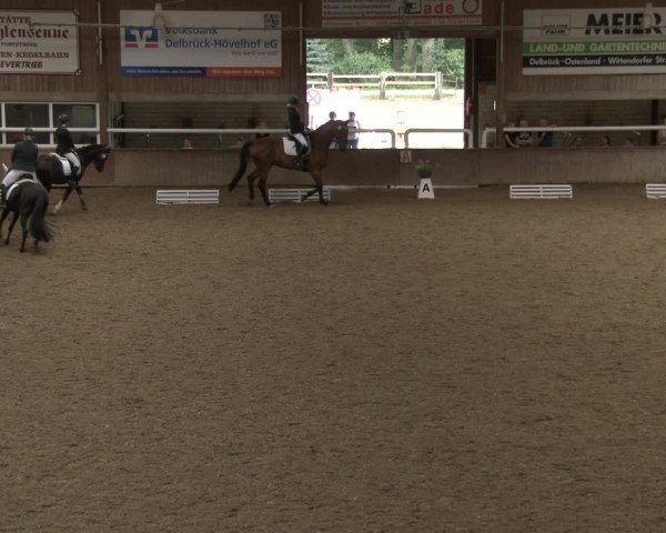 Reitturnier Delbrück-Ostenland 2019