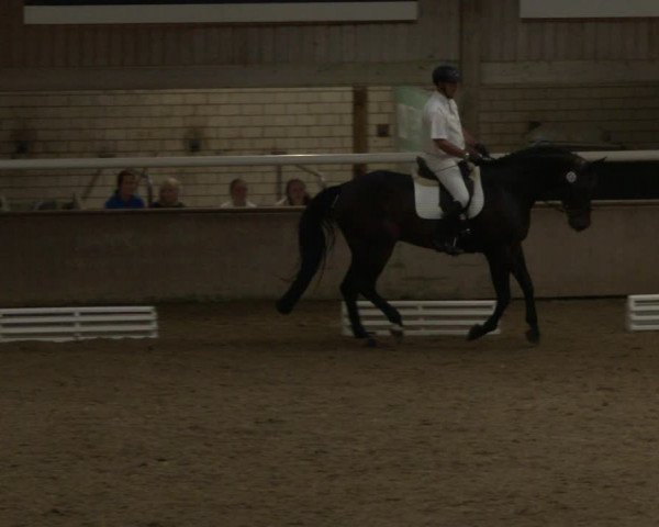 Reitturnier Delbrück-Ostenland 2019