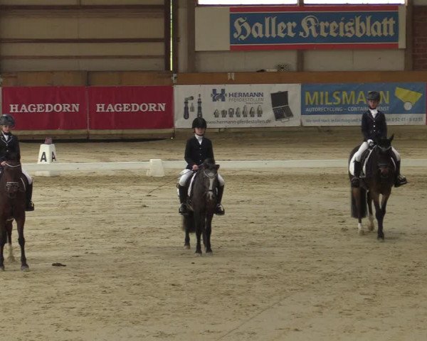 Steinhagen Classics 2021