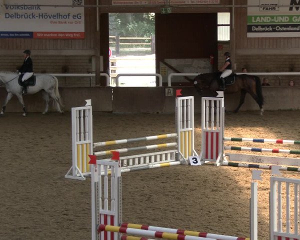 Reitturnier Delbrück-Ostenland 2019