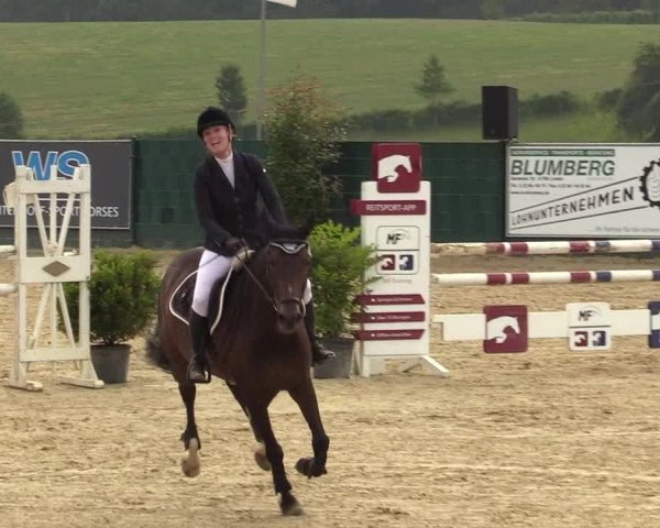 Reitturnier Lindlar-Süttenbach 2019